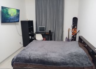 Сдам однокомнатную квартиру, 34 м2, Мурино, Ручьёвский проспект, 9, ЖК Гринландия-2