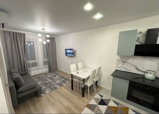 Сдаю в аренду однокомнатную квартиру, 32.2 м2, Москва, Перовское шоссе, 2к2