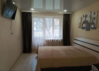 1-комнатная квартира в аренду, 38 м2, Ставропольский край, улица 40 лет Октября, 4