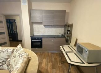 Сдам в аренду квартиру студию, 28 м2, Новосибирск, Красный проспект