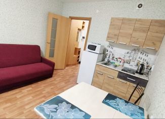 Квартира в аренду студия, 28 м2, Санкт-Петербург, улица Бабушкина, 84к2, муниципальный округ Обуховский
