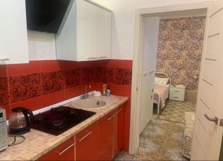 Сдам 1-комнатную квартиру, 30 м2, Сочи, улица Тургенева, 12, микрорайон Светлана