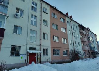 Продажа 1-ком. квартиры, 30.4 м2, Раменское, Фабричная улица