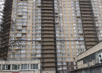 Продажа 2-комнатной квартиры, 48 м2, Санкт-Петербург, проспект Луначарского, 78к5, муниципальный округ Северный
