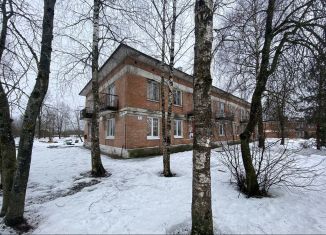 Продается 2-комнатная квартира, 41.6 м2, поселок Любань, проспект Мельникова, 5
