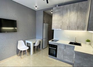 Продажа квартиры студии, 28 м2, Ростов-на-Дону, Красноармейская улица, 157В/83с1, ЖК Рубин