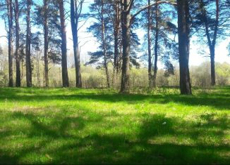 Продаю земельный участок, 10 сот., Починок