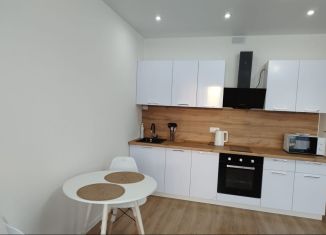 Сдаю квартиру студию, 27 м2, Люберцы, улица Лётчика Ларюшина, 6, ЖК Жулебино Парк