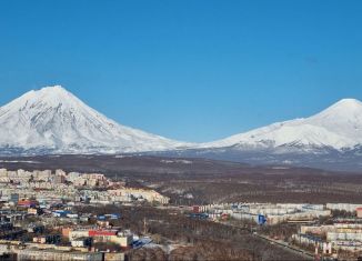 Сдам в аренду 1-ком. квартиру, 31 м2, Камчатский край, улица Автомобилистов, 16