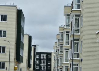 Продается 1-комнатная квартира, 47.6 м2, деревня Болтино, улица Баздырева, 15, ЖК Болтино