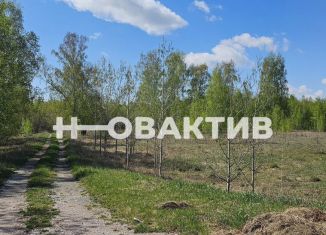 Продам земельный участок, 12 сот., село Боровое, Западная улица