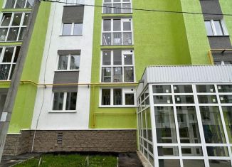 Продаю 2-комнатную квартиру, 48.6 м2, село Миловка, проспект Чижова, 4