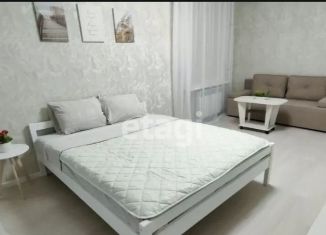 Сдаю 1-ком. квартиру, 30 м2, Казань, улица Ахтямова, 30