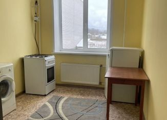 1-ком. квартира в аренду, 28 м2, Боровичи, Потерпелицкая улица, 18