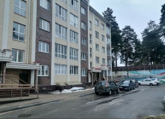 Продажа однокомнатной квартиры, 33 м2, Кохма, Ивановская улица, 17А