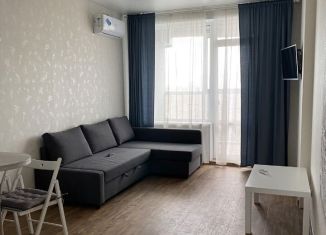 Сдается квартира студия, 30 м2, Новосибирск, улица Сибревкома, 9, метро Речной вокзал