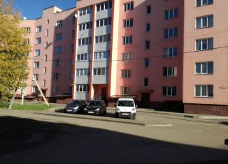 Продаю однокомнатную квартиру, 40 м2, посёлок Сосново, улица Никитина