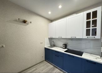 Сдается 1-ком. квартира, 50 м2, Ростов-на-Дону, улица Мечникова, 110с1, ЖК Династия