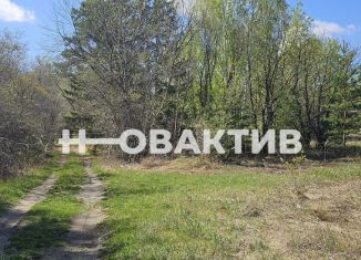 Участок на продажу, 13 сот., село Боровое, Красная улица