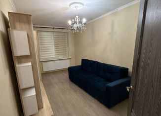 Сдам 1-ком. квартиру, 33 м2, Санкт-Петербург, Русановская улица, 16к3, метро Ломоносовская