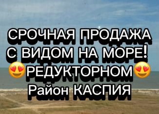 Продажа однокомнатной квартиры, 53 м2, Махачкала, улица Тулпара Мусалаева, 16, ЖК Лазурный Берег