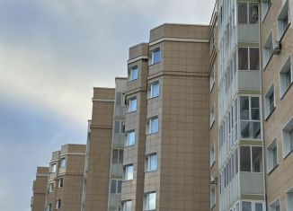 Продажа 3-комнатной квартиры, 117 м2, Санкт-Петербург, Суздальское шоссе, 12, ЖК Новая Скандинавия