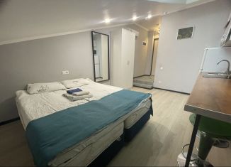 Сдаю квартиру студию, 18 м2, Москва, улица Петра Романова, 7с1