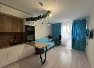 Квартира на продажу студия, 28 м2, Краснодарский край, улица Ленина, 227