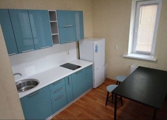 Продается 1-комнатная квартира, 30 м2, посёлок Парголово, Заречная улица, 45к1, ЖК Северная Долина