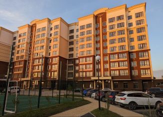 Продается 1-комнатная квартира, 41.6 м2, село Мирное, Мраморный переулок, 38