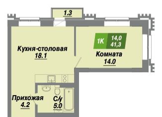 1-ком. квартира на продажу, 41.3 м2, Новосибирск, метро Заельцовская