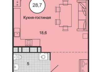 Продается квартира студия, 28.7 м2, Михайловск