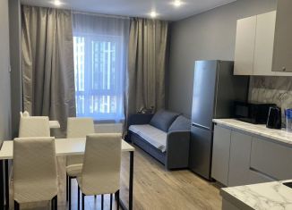 Аренда 1-ком. квартиры, 45 м2, Уфа, улица Сагита Агиша, 19, Советский район