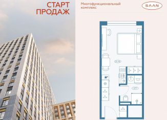 Квартира на продажу студия, 24.8 м2, Санкт-Петербург, метро Пионерская