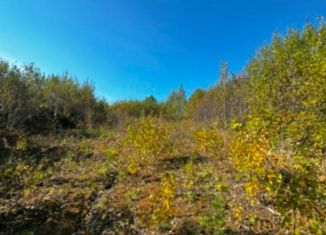 Земельный участок на продажу, 5.5 сот., деревня Новолисиха