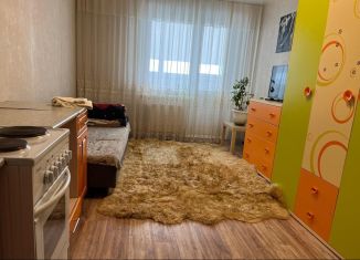 Сдаю в аренду квартиру студию, 25 м2, Ростов-на-Дону, улица Висаитова, 5/11