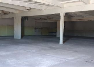 Производство в аренду, 972 м2, деревня Проба, Пробинское шоссе, 60