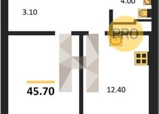 Продается 1-комнатная квартира, 45.7 м2, Новосибирская область