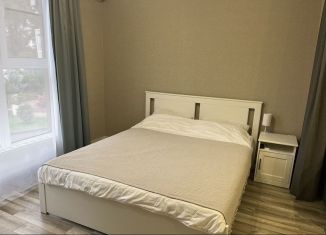 Аренда квартиры студии, 40 м2, Краснодарский край, Армавирская улица, 78А