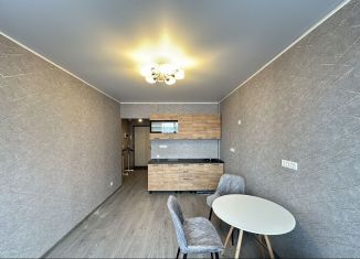 Аренда 1-комнатной квартиры, 40 м2, Санкт-Петербург, бульвар Головнина, 10, Василеостровский район