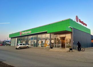 Продаю торговую площадь, 400 м2, посёлок Пригородный, Ташинская улица, 126