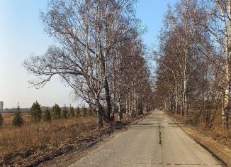 Продается земельный участок, 30 сот., деревня Шульгино, Центральная улица