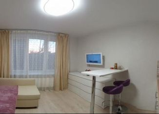 Сдается квартира студия, 18 м2, Москва, Окская улица, 28к3, район Кузьминки