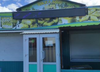 Продаю торговую площадь, 130 м2, Северобайкальск, Пионерский переулок, 9