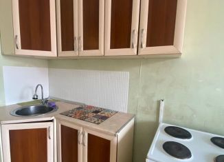 Сдача в аренду 1-ком. квартиры, 40 м2, Новосибирск, улица Петухова, 104А, метро Площадь Маркса