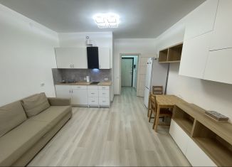 Сдам квартиру студию, 25 м2, Санкт-Петербург, Торфяная дорога, 17к1, метро Пионерская