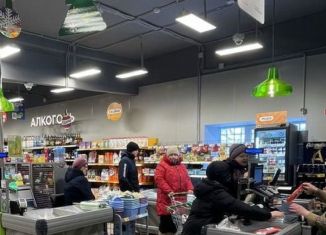 Продается торговая площадь, 370 м2, Самара, улица Советской Армии, 238А, метро Российская