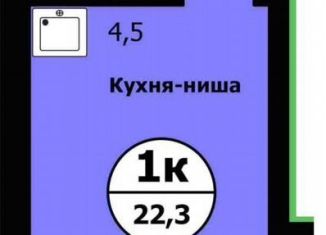 Продажа 1-ком. квартиры, 22.3 м2, Красноярск, улица Лесников, 41Б, Свердловский район