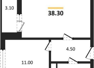 Продажа 1-ком. квартиры, 38.3 м2, Воронеж, улица Пескова, 6, Центральный район