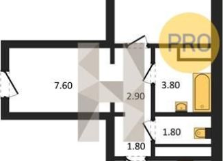 Продам 1-комнатную квартиру, 47.3 м2, Воронеж, улица Пескова, 6, Центральный район